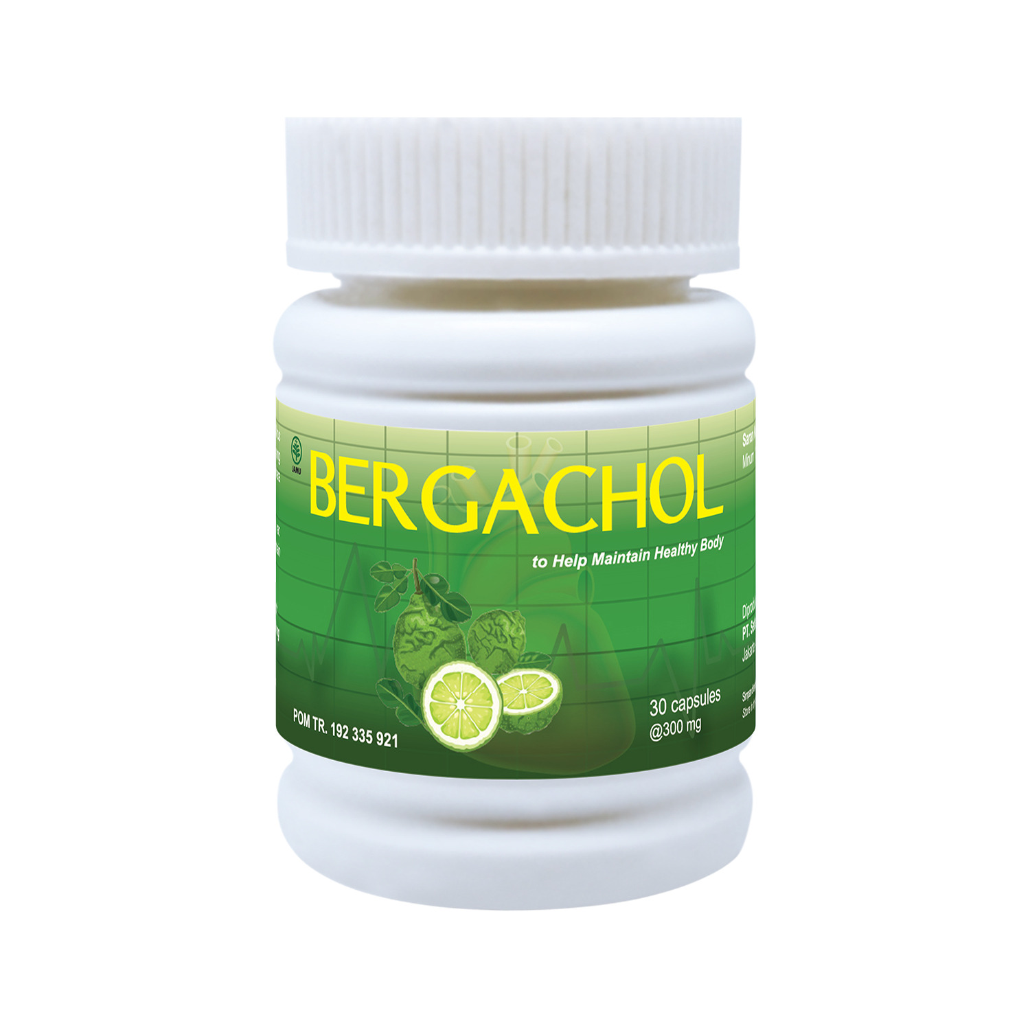 Bergachol